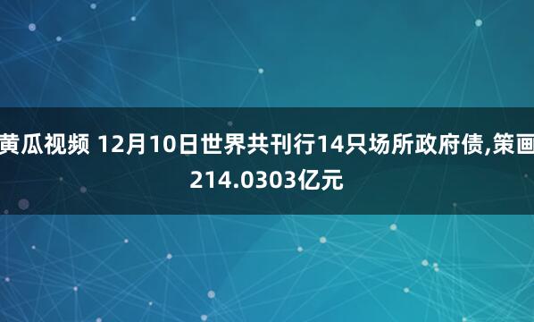 黄瓜视频 12月10日世界共刊行14只场所政府债,策画214.0303亿元
